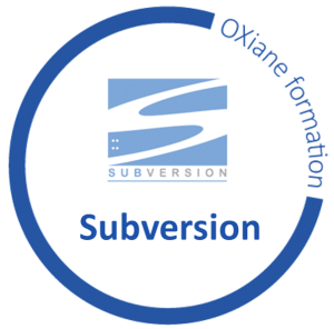 oxiane_logo_subversion2